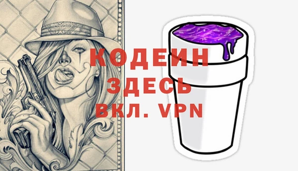 крисы Осташков